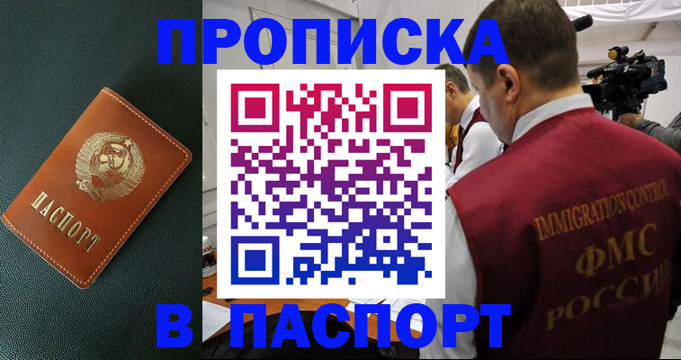 прописка иностранных граждан в Камчатской области